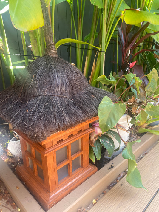 Island Spirit Hairy Lantern -