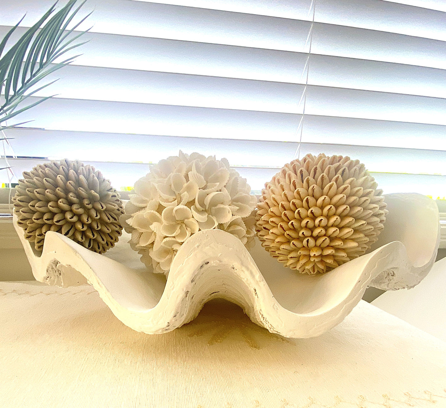 Giant Clam Shell Decorative Bowl - 41cm
