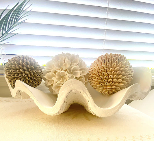 Giant Clam Shell Decorative Bowl - 41cm
