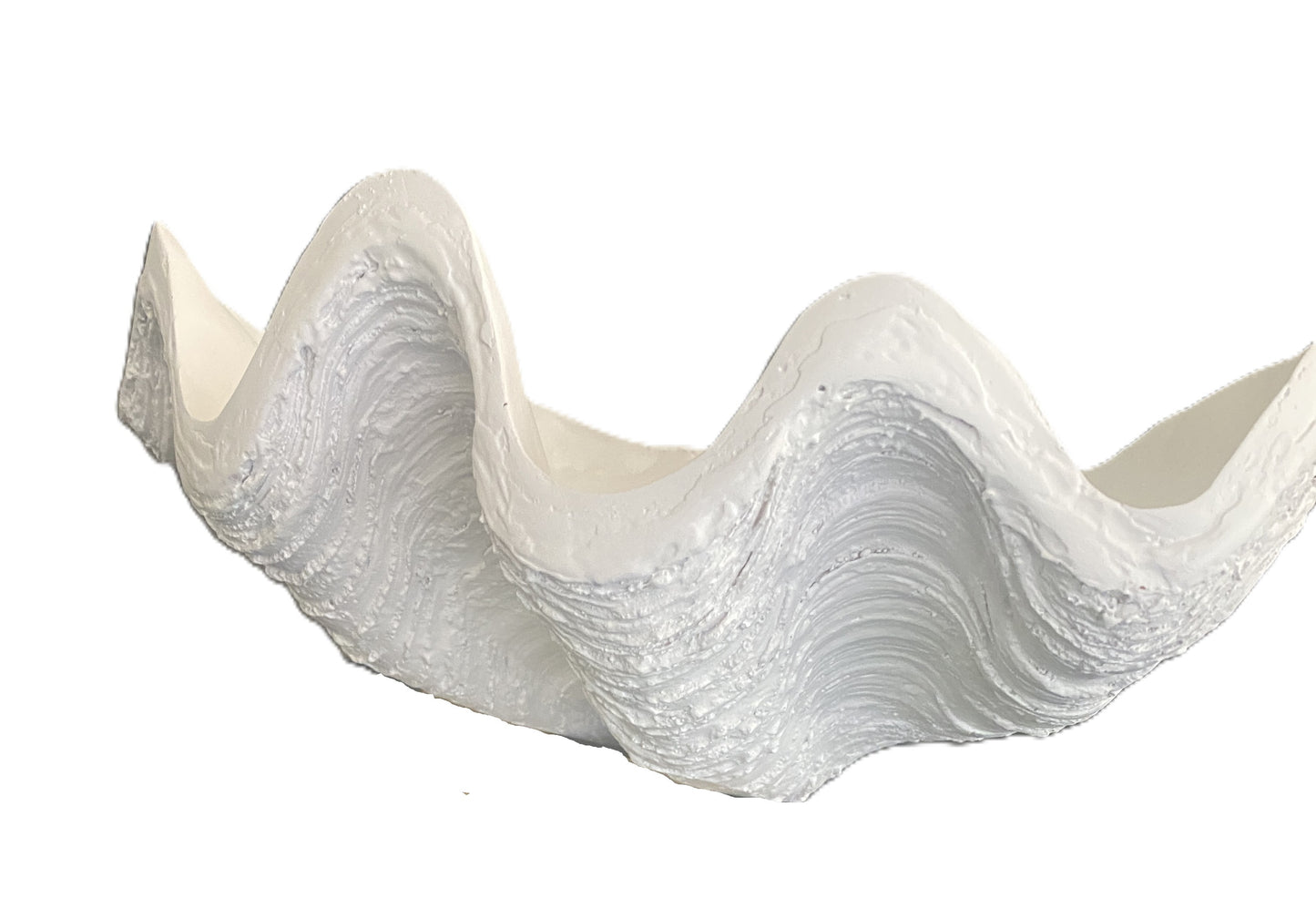 Giant Clam Shell Decorative Bowl - 41cm
